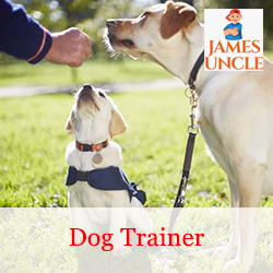 Dog trainer Mr. Souvik Chatterjee in Cossipore